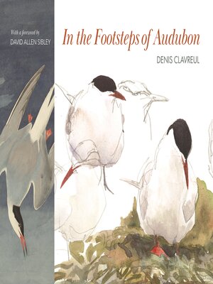cover image of In the Footsteps of Audubon